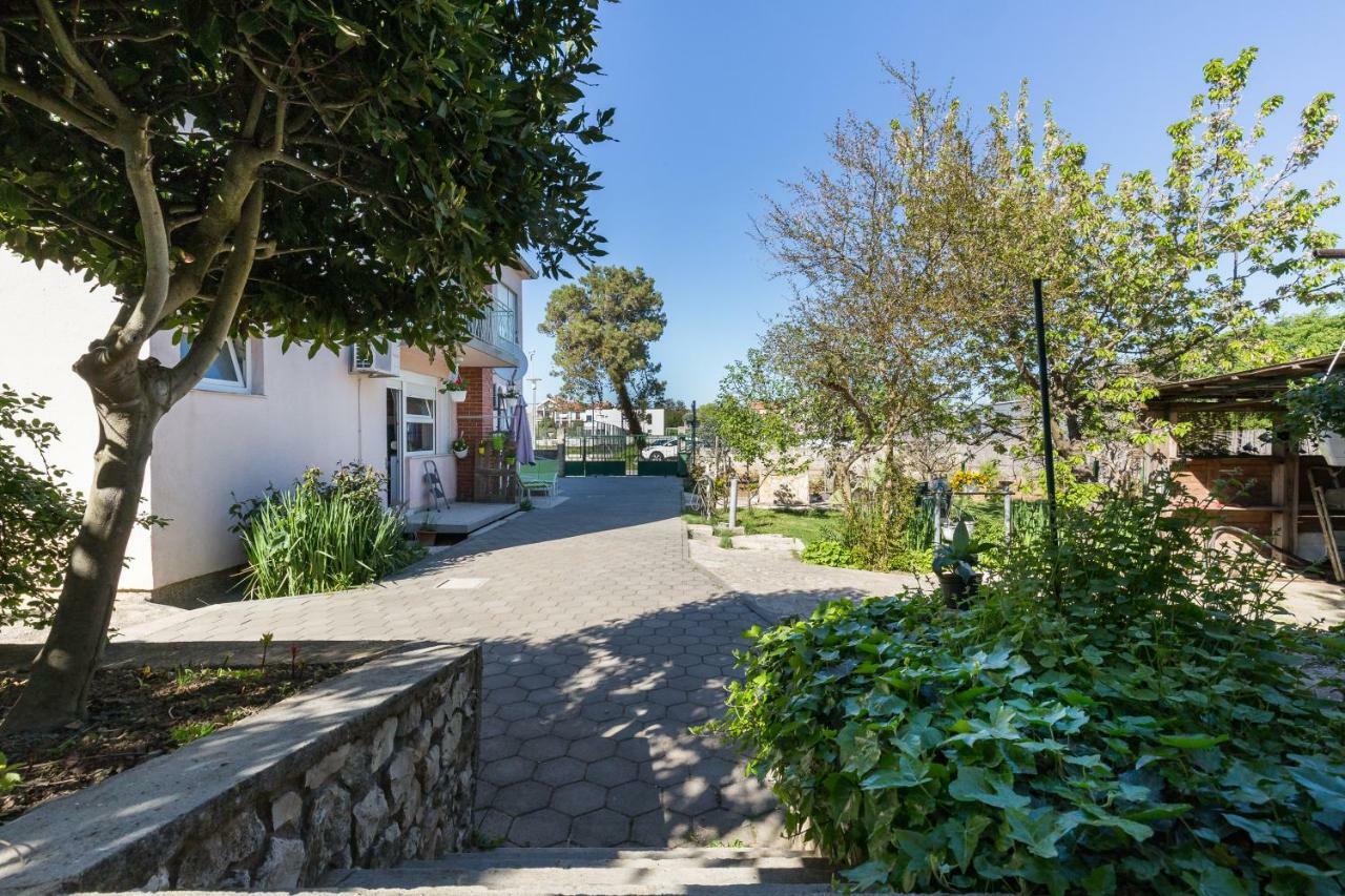 Apartment Marija Petrcane Εξωτερικό φωτογραφία